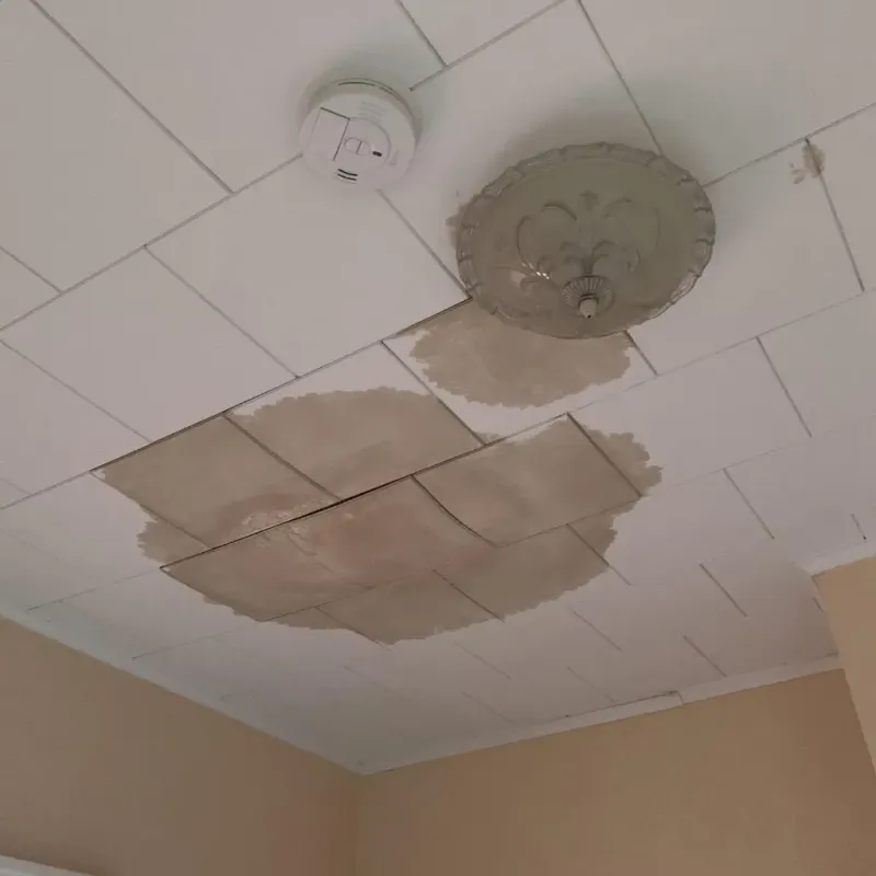 Ceiling Water Damage Repair in Broome County, NY