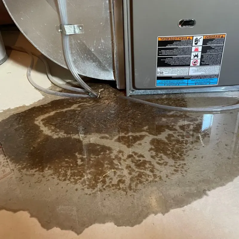 Pipe Burst and Leak Restoration in Broome County, NY